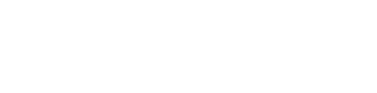 logo web